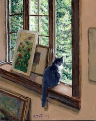 Studio Cat